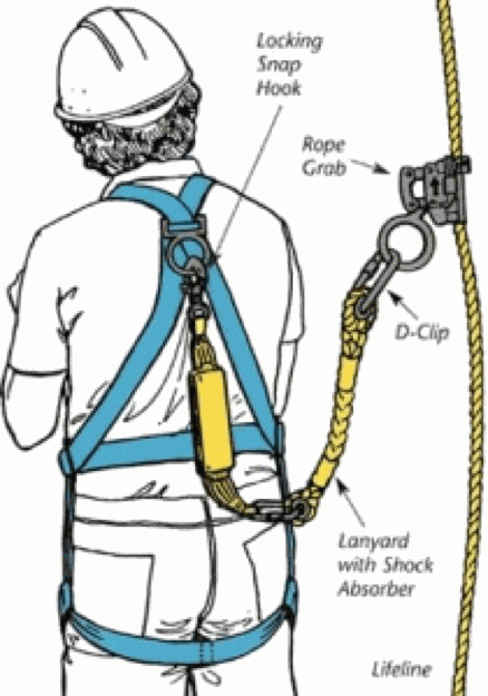 harness