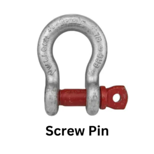 Screw Pin