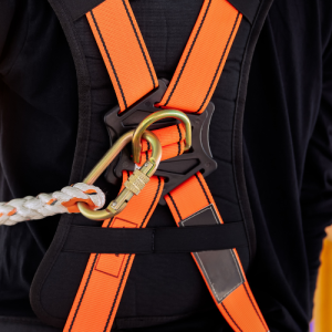 d-ring safety body harness Cara Memeriksa Kelayakan Safety Body Harness