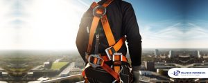 full body harness