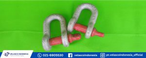 Jual Shackle Dee Berkualitas
