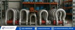 Jual Shackle untuk Rigging Terlengkap